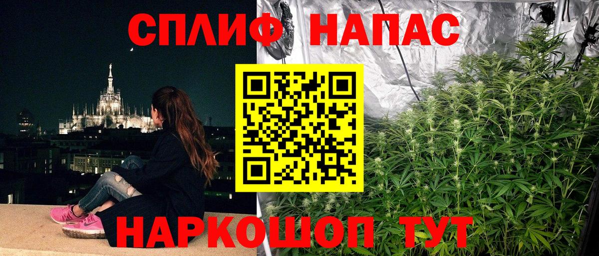 Шишки марихуана планчик  Шишки марихуана план  Арзамас  Вход с VPN  Бошки Шишки марихуана  Бошки марихуана индика 
